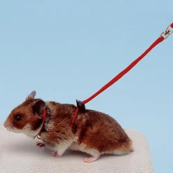 Accessoires pour rongeurs ferplast ny ham harnais laisse hamsters réglable