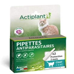ACTIPLANT - Pipette antiparasitaire grand chat Eco spot n°1,1 essentiel : 2 x 1ml