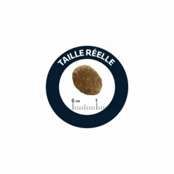 ADVANCE - Croquettes chat veterinary diet urinary - advance 3 kg