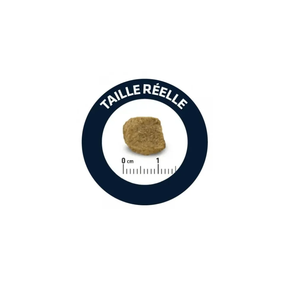 ADVANCE - Croquettes chien maxi senior - advance 12 kg