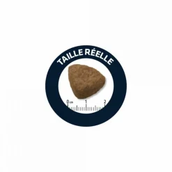 ADVANCE - Croquettes chien adult mini - advance 7 kg