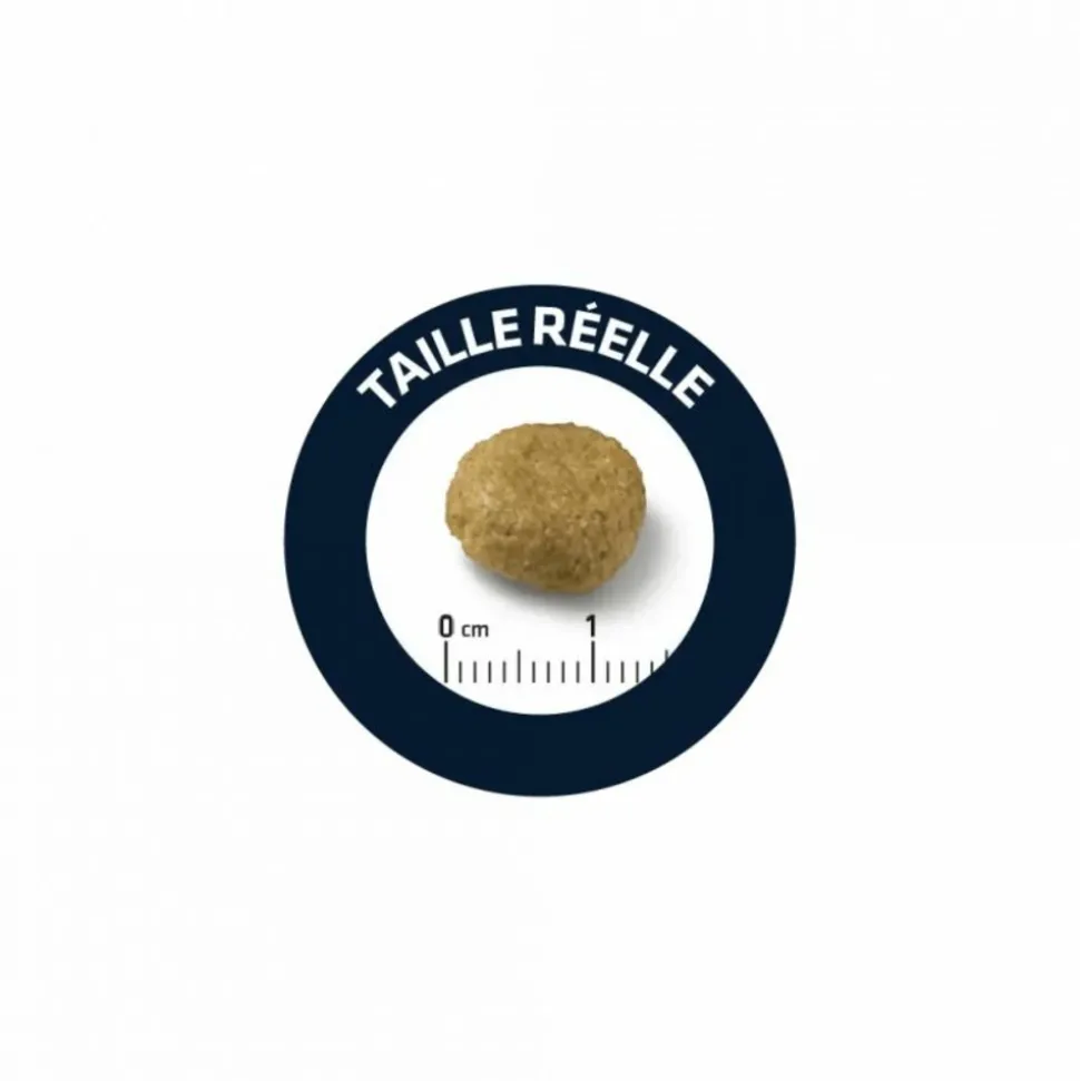 ADVANCE - Croquettes chien veterinary diets atopic medium / maxi - advance 12 kg