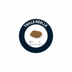 ADVANCE - Croquettes chien senior medium - advance 3 kg