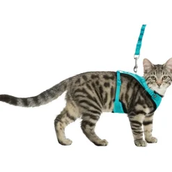 ANIMALLPARADISE - Harnais y en maille avec laisse anti secousses, entièrement élastique pour