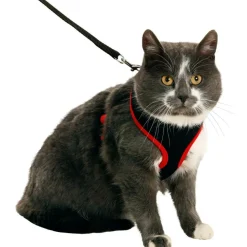 ANIMALLPARADISE - Harnais pour grand chat, couleur noir et rouge, taille l, réglable