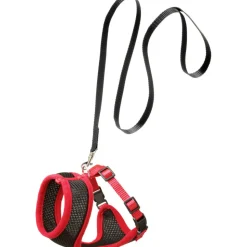 ANIMALLPARADISE - Harnais pour grand chat, couleur noir et rouge, taille l, réglable