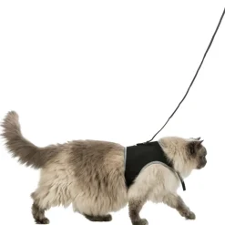 ANIMALLPARADISE - Harnais soft xxl avec laisse pour grand chat