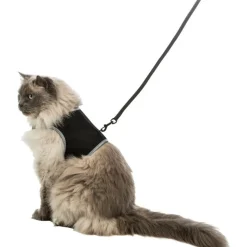 ANIMALLPARADISE - Harnais soft xxl avec laisse pour grand chat