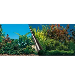 AQUA DELLA - Poster fond d'aquarium Beauty & Sea 80x40cm