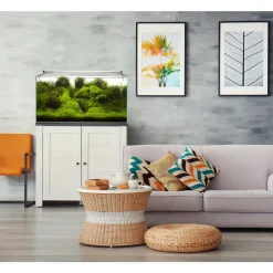 AQUAEL - Aquarium cuve nue en verre "Extra Clear" : 60 x 30 x 30 cm - 54L