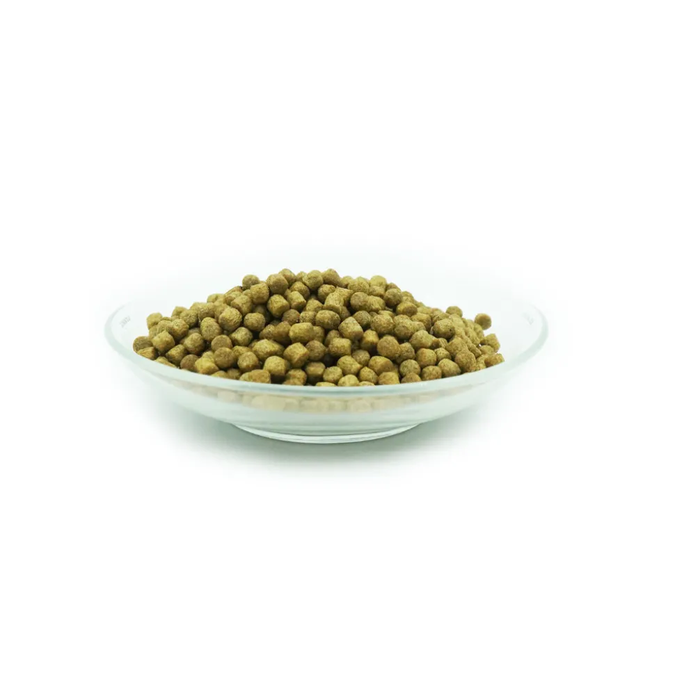 AQUARIS - Lot économique avec wheatgerm 1 kg / 6mm et produits d’entretien pond bakto 50g