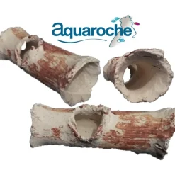 AQUAROCHE - Tronc petit Modèle