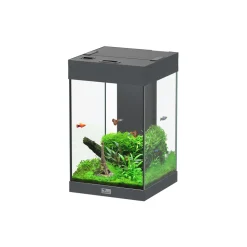 AQUATLANTIS - Aquarium Aqua Tower Equipé Gris L.30xP.30xH.49cm