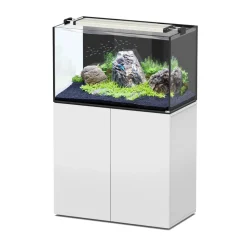 AQUATLANTIS - Aquarium avec meuble Aquaview 92 blanc – 92x50x55 cm 253 L