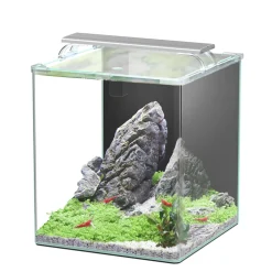 AQUATLANTIS - Aquarium Kubus Curve Essential 44 litres - L.34xP.34xH.42cm