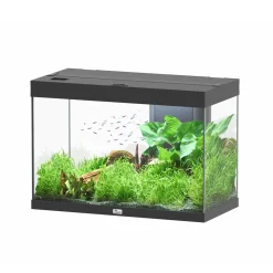 AQUATLANTIS - Aquarium équipé Splendid Led 2.0 Noir L.80xP.40xH.56cm