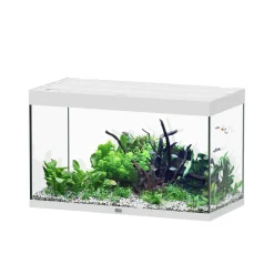 AQUATLANTIS - Aquarium Sublime Led 2.0 Pro Blanc L.100x P.50x H.60cm