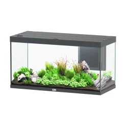 AQUATLANTIS - Aquarium Volga 350 gris Led 2.0 équipé
