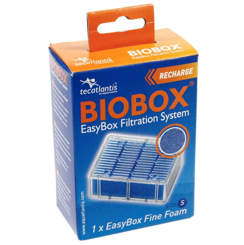 AQUATLANTIS - Easybox mousse fine s : plastique mousse l. 7 x l. 4 x h. 10