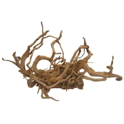 AQUAVIE - Décor aquarium/terrarium: Racine araignée 40-50 cm