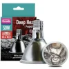 ARCADIA - Lampe à résistance chauffante - deep heat projector 80w - chauffage pour reptiles en terrarium