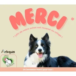 ARLEQUIN IRRESISTIBLE - Croquette chiot superfood sans céréales arlequin irrésistible dinde 6 kg