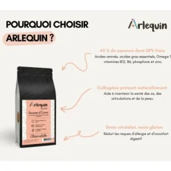 ARLEQUIN IRRESISTIBLE - Croquette chien superfood sans céréales arlequin irrésistible saumon d'ecosse 12 kg
