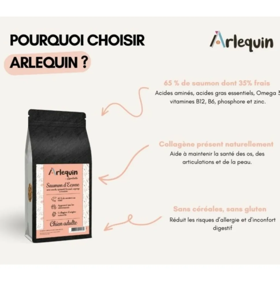 ARLEQUIN IRRESISTIBLE - Croquette chien superfood sans céréales arlequin irrésistible saumon d'ecosse 12 kg