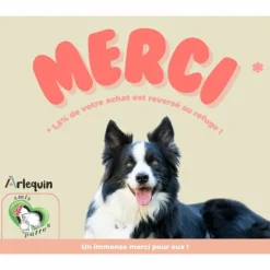 ARLEQUIN ORIGINELLE - Croquette chien sans céréales arlequin originelle poulet 2 kg