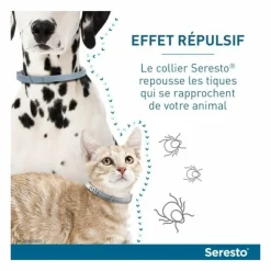 BAYER - Collier antiparasitaire chat - seresto collier x12
