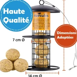 BB LOISIR - Mangeoire oiseaux extérieur à suspendre pour oiseaux sauvages pour jardin balcon distributeur de nourriture«34717 nourri-silo»