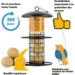 BB LOISIR - Mangeoire oiseaux extérieur à suspendre pour oiseaux sauvages pour jardin balcon distributeur de nourriture«34717 nourri-silo»