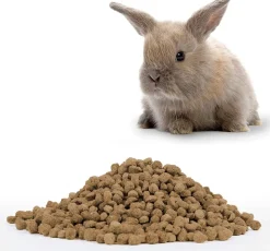 BEAPHAR - Aliment lapin - care + - beaphar 1.5 kg