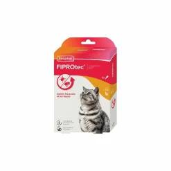 BEAPHAR - Fiprotec 50 mg chat - beaphar 1 pipette