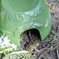 BEST FOR BIRDS - Abri crapaud en céramique