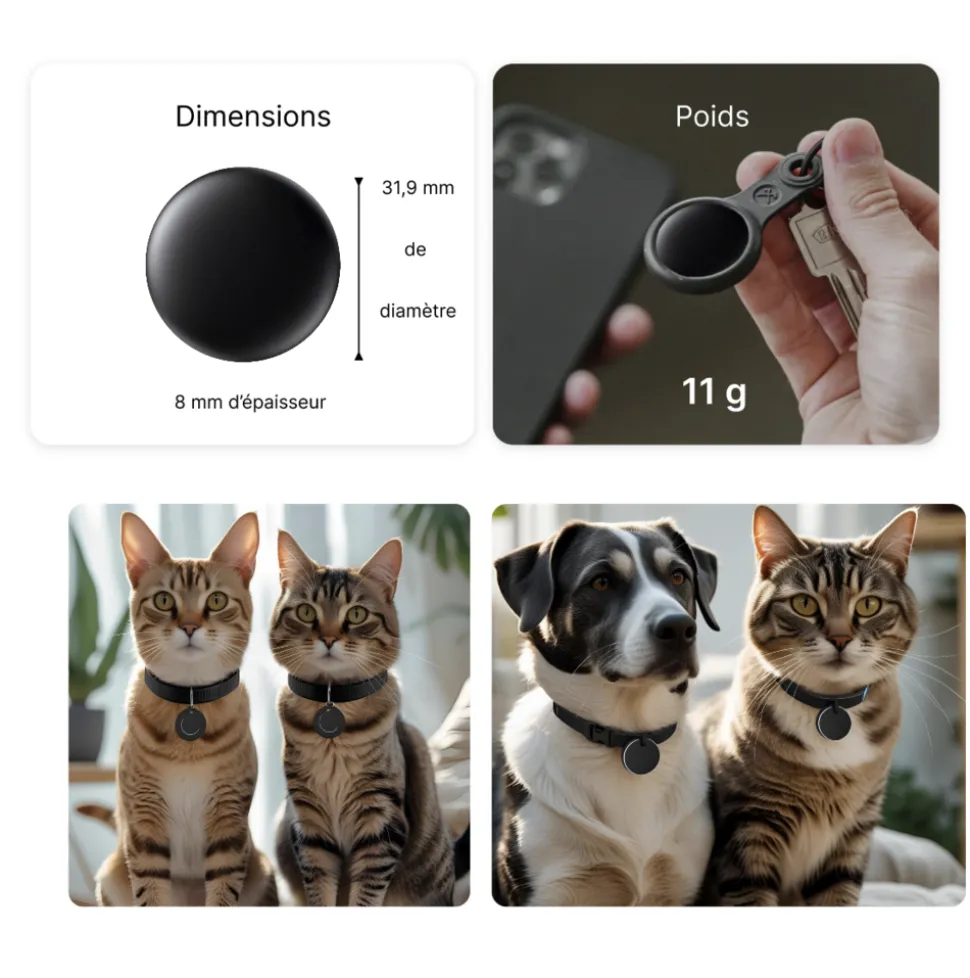Bixar smart tag pour animaux – traceur bluetooth chien & chat, alternative sans abonnement, réseau find my, localisation proximité,