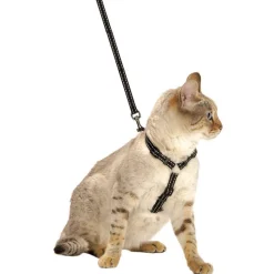 BOBBY - Pack Safe pour chat : harnais et laisse nylon noir