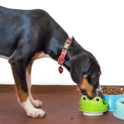 CARNILOVE - Carnilove - croquettes sans cérales true fresh au boeuf pour chien 1.4kg