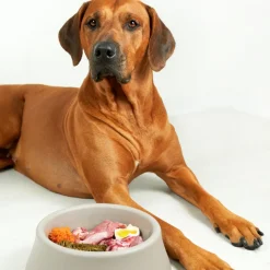 CARNILOVE - Carnilove - pâtées sans céréales carpe pour chien 300g