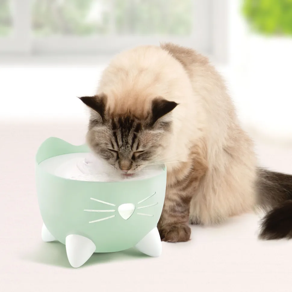 CAT IT - Abreuvoir Pixi pour chat 20x20x17cm vert