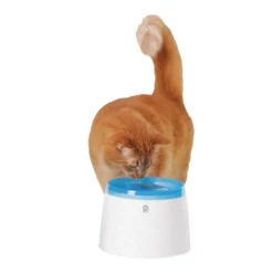 CAT IT - Catit fontaine aeur eau pour chat compacte 2 litres