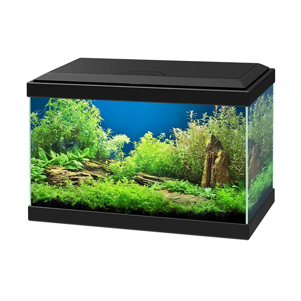 CIANO - Aquarium équipé Aqua 20 noir - 17 litres