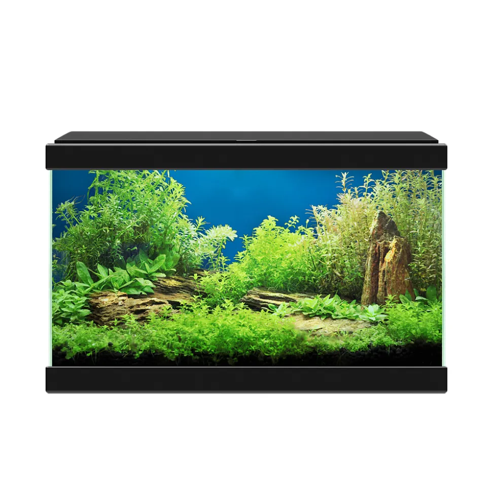 CIANO - Aquarium équipé Aqua 20 noir - 17 litres