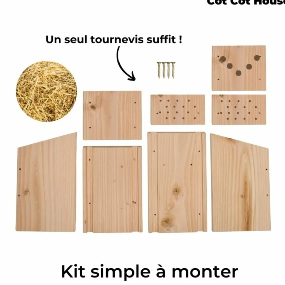 COT COT HOUSE - Kit pédagogique - insectes