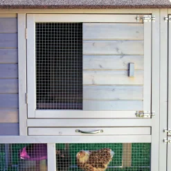 DADU - Poulailler Guardiana en bois pour 6 poules avec pondoir 217x106x145cm