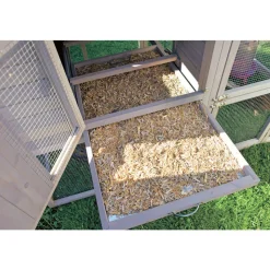 DADU - Poulailler Guardiana en bois pour 6 poules avec pondoir 217x106x145cm