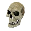 Décoration pour reptiles Repto Human Skull, crâne taille XL