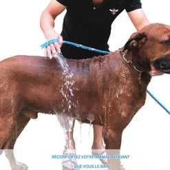 DOWNYPAWS - 3 en 1pomme de douche