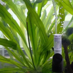 DOWNYPAWS - 2 filtres miniatures pour aquarium