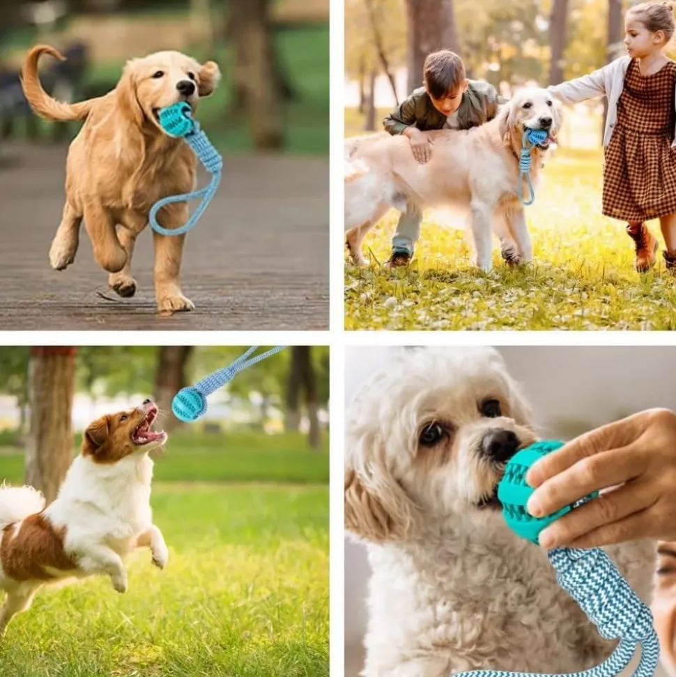 DOWNYPAWS - 2 pièces jouets de tir à